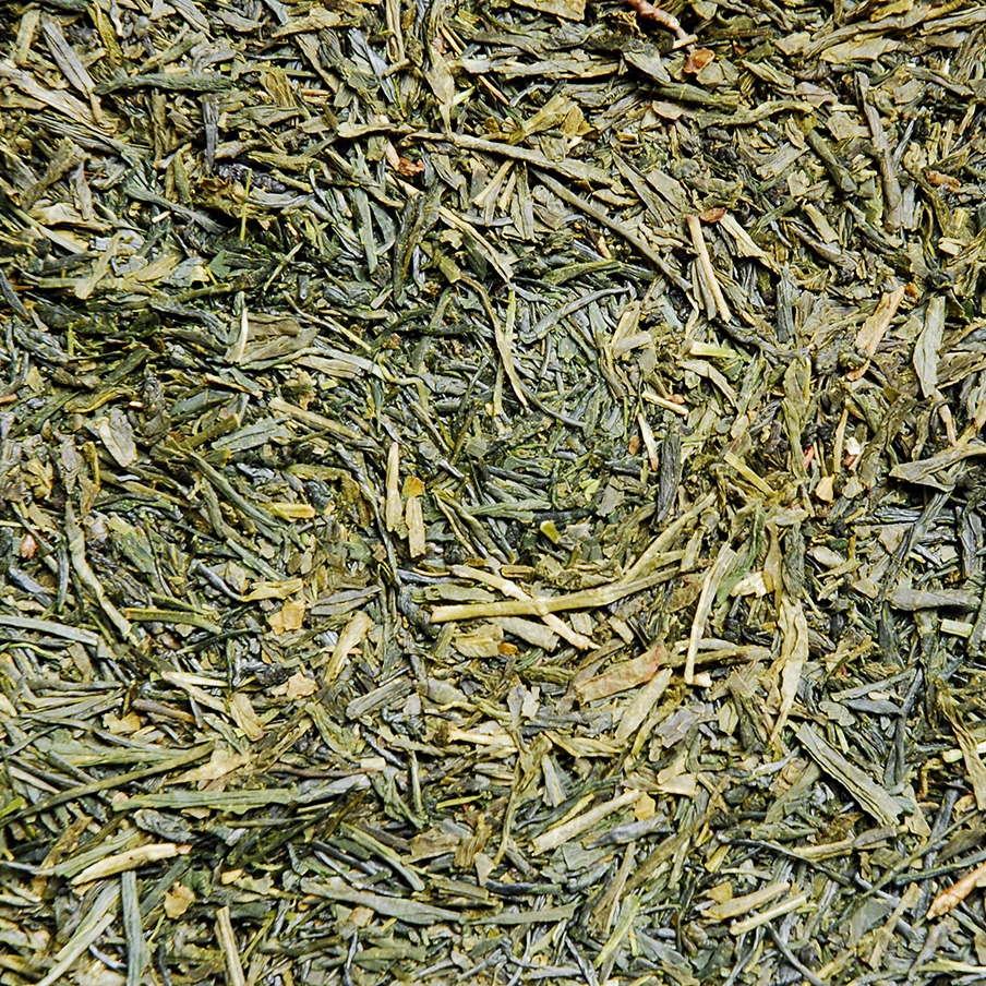 Sencha