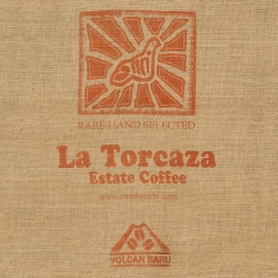 La Torcaza