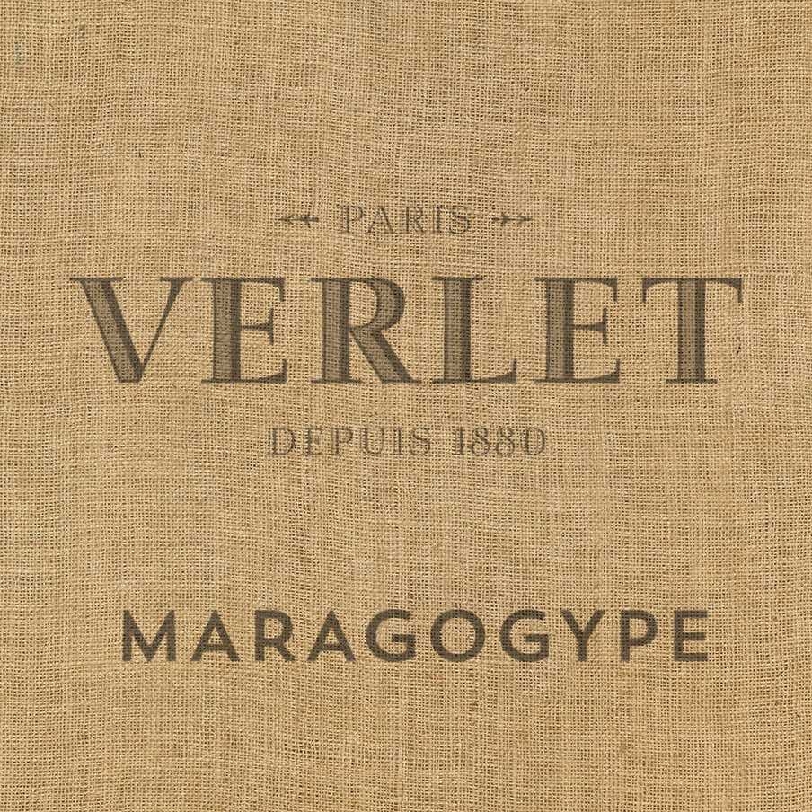 Maragogype