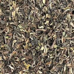 Darjeeling Blend